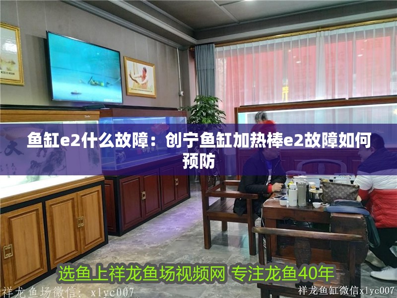 魚缸e2什么故障：創(chuàng)寧魚缸加熱棒e2故障如何預(yù)防