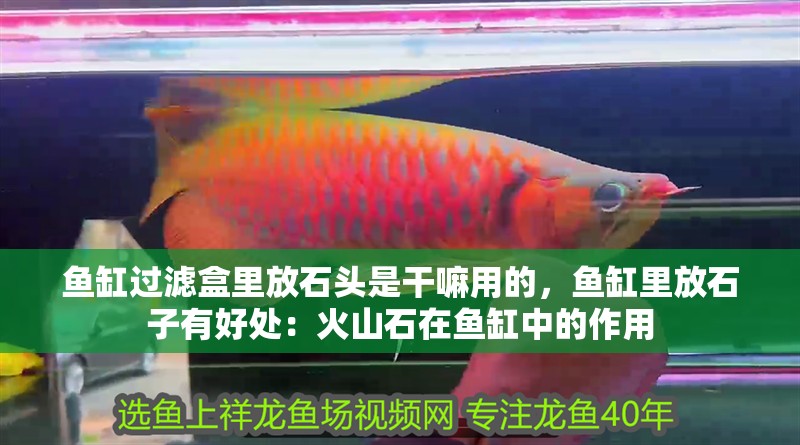 魚缸過濾盒里放石頭是干嘛用的，魚缸里放石子有好處：火山石在魚缸中的作用