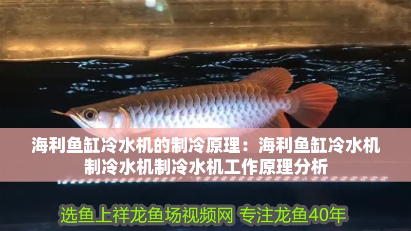 海利魚缸冷水機的制冷原理：海利魚缸冷水機制冷水機制冷水機工作原理分析