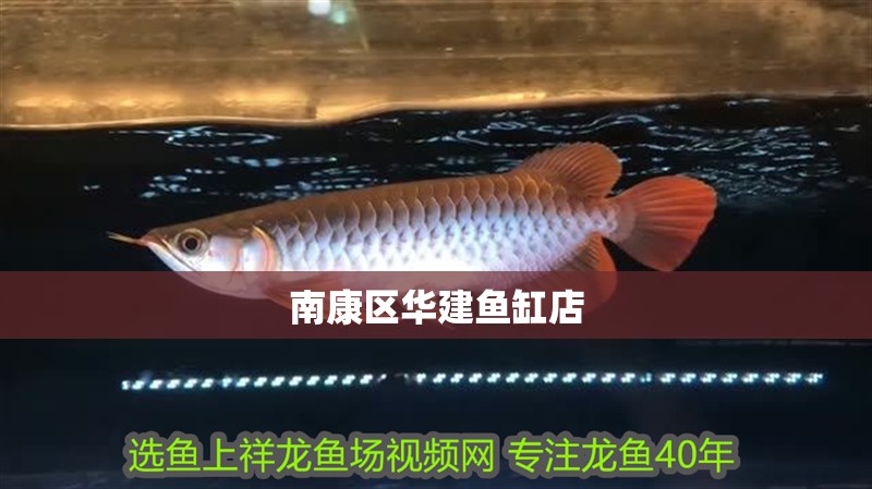 南康區華建魚缸店