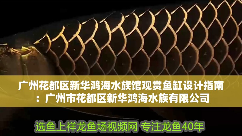 廣州花都區(qū)新華鴻海水族館觀賞魚缸設計指南：廣州市花都區(qū)新華鴻海水族有限公司