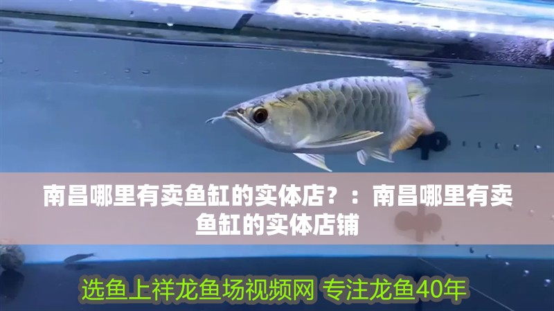 南昌哪里有賣魚缸的實(shí)體店？：南昌哪里有賣魚缸的實(shí)體店鋪