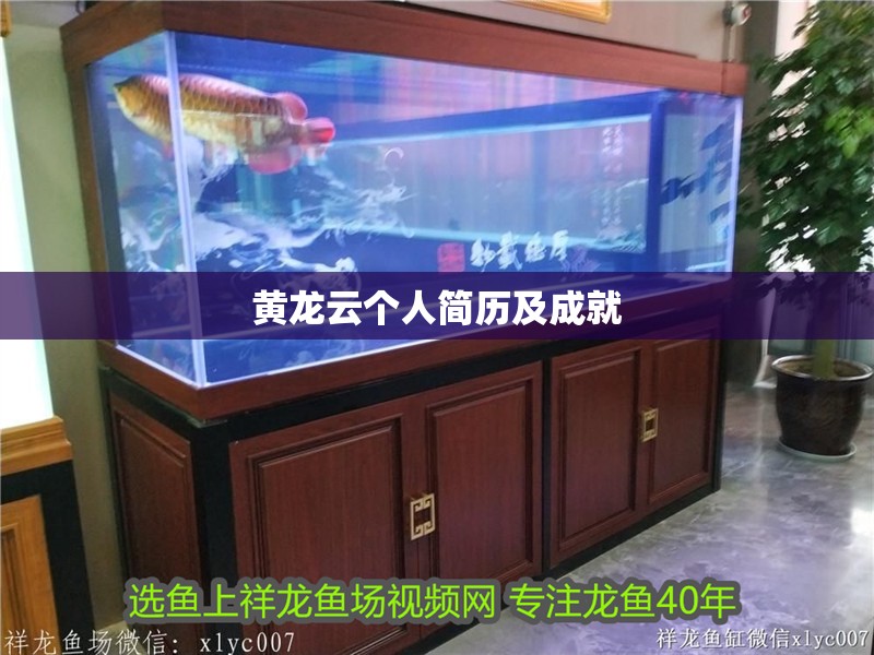 黃龍云個人簡歷及成就