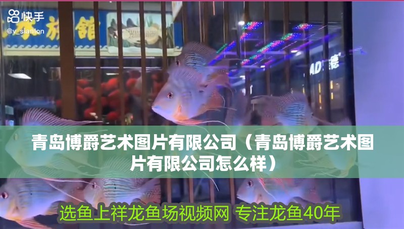 青島博爵藝術圖片有限公司（青島博爵藝術圖片有限公司怎么樣）