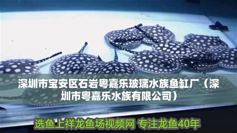深圳市寶安區石巖粵嘉樂玻璃水族魚缸廠（深圳市粵嘉樂水族有限公司）