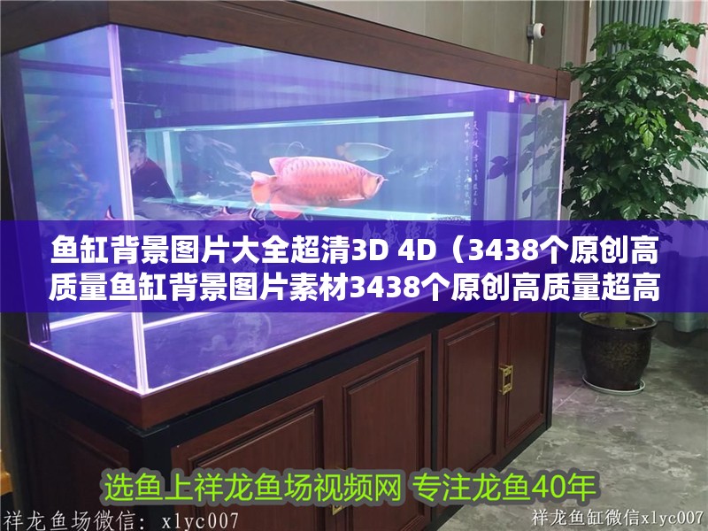 魚缸用增氧泵價格是多少:魚缸增氧機-xtrac增氧機-xtrac增氧機 魚缸背景圖片大全超清3D 4D(3438個原創高質量魚缸背景圖片素材3438個原創高質量超高清魚缸背景圖片素材) 魚缸百科 魚缸背景圖片大全超清3D 4D(3438個原創高質量魚缸背景圖片素材3438個原創高質量超高清魚缸背景圖片素材) 魚缸背景圖片大全超清3D 4D(3438個原創高質量魚缸背景圖片素材3438個原創高質量超高清魚缸背景圖片素材) 魚缸百科