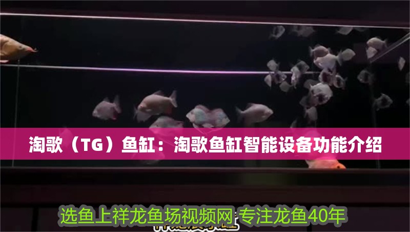 淘歌（TG）魚缸：淘歌魚缸智能設(shè)備功能介紹