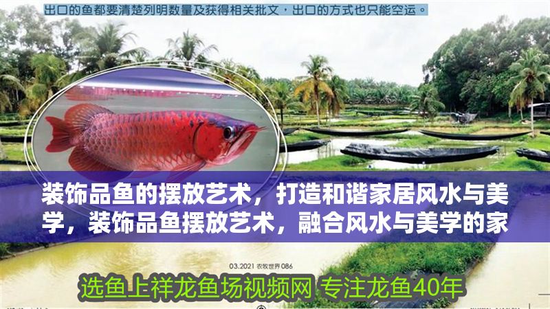 裝飾品魚的擺放藝術，打造和諧家居風水與美學，裝飾品魚擺放藝術，融合風水與美學的家居點睛之筆