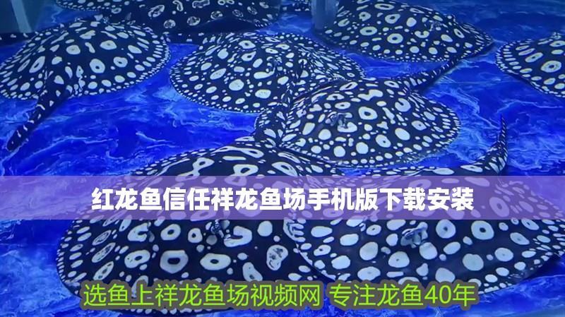 紅龍魚信任祥龍魚場手機版下載安裝