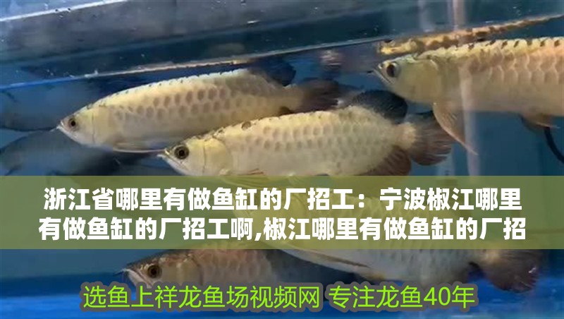 浙江省哪里有做魚缸的廠招工：寧波<strong><mark>椒江</mark></strong>哪里有做魚缸的廠招工啊,<strong><mark>椒江</mark></strong>哪里有做魚缸的廠招工啊