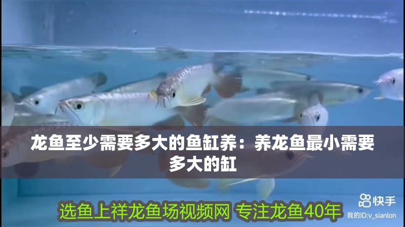 魚缸過濾器選購指南:自制魚缸過濾器魚缸上置過濾器對于養魚愛好者的必備知識 龍魚至少需要多大的魚缸養:養龍魚最小需要多大的缸 龍魚百科 龍魚至少需要多大的魚缸養:養龍魚最小需要多大的缸 龍魚至少需要多大的魚缸養:養龍魚最小需要多大的缸 龍魚百科
