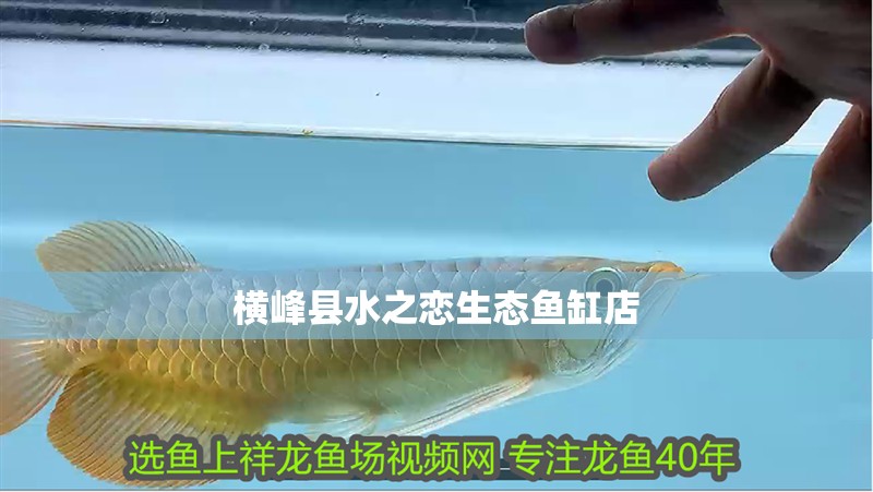 橫峰縣水之戀生態魚缸店