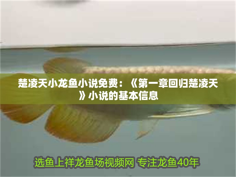楚凌天小龍魚(yú)小說(shuō)免費(fèi)：《第一章回歸楚凌天》小說(shuō)的基本信息