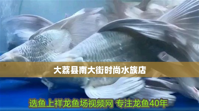 大荔縣南大街時尚水族店