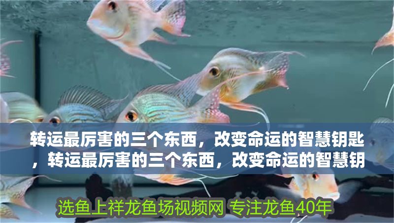 轉運最厲害的三個東西，改變命運的智慧鑰匙，轉運最厲害的三個東西，改變命運的智慧鑰匙