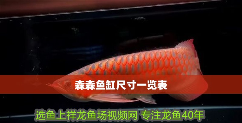 森森魚(yú)缸尺寸一覽表