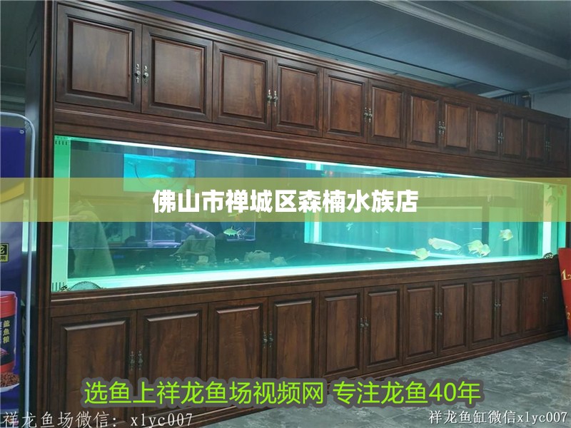 佛山市禪城區(qū)森楠水族店 佛山市禪城區(qū)森楠水族店 全國水族館企業(yè)名錄