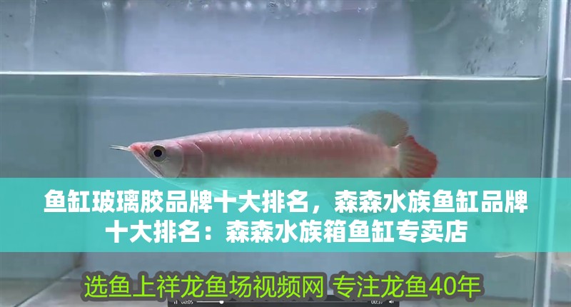 魚(yú)缸玻璃膠品牌十大排名，森森水族魚(yú)缸品牌十大排名：森森水族箱魚(yú)缸專(zhuān)賣(mài)店