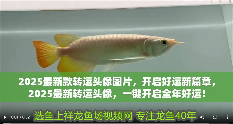 2025最新款轉運頭像圖片，開啟好運新篇章，2025最新轉運頭像，一鍵開啟全年好運！