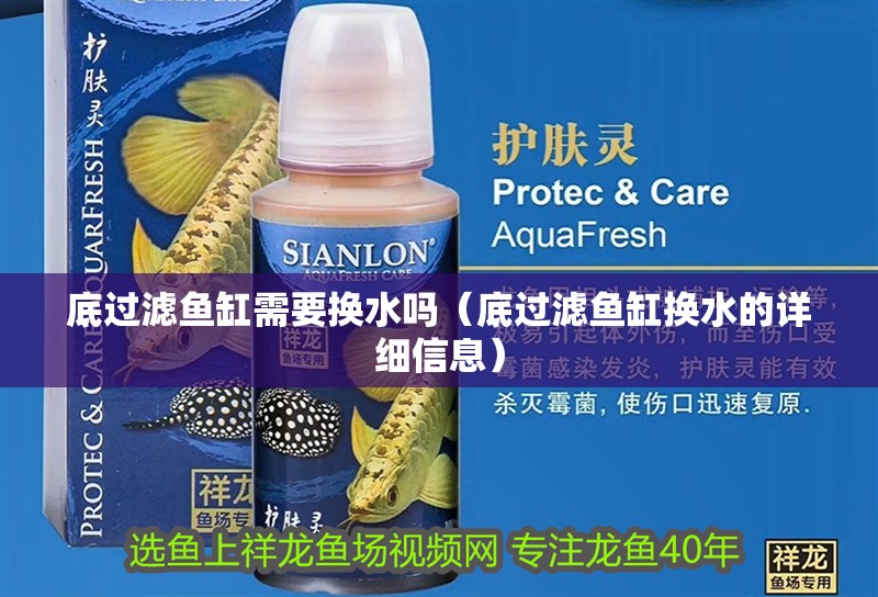 底過濾魚缸需要換水嗎（底過濾魚缸換水的詳細信息）