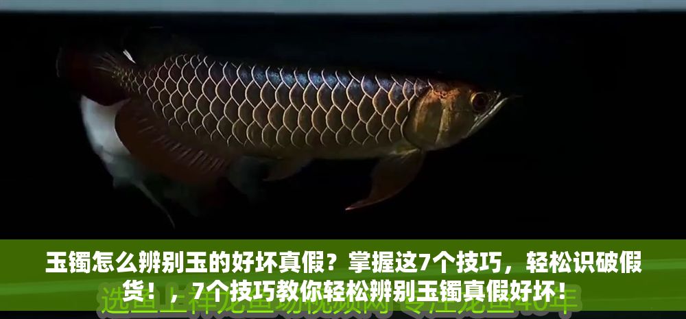 玉鐲怎么辨別玉的好壞真假？掌握這7個(gè)技巧，輕松識破假貨！，7個(gè)技巧教你輕松辨別玉鐲真假好壞！