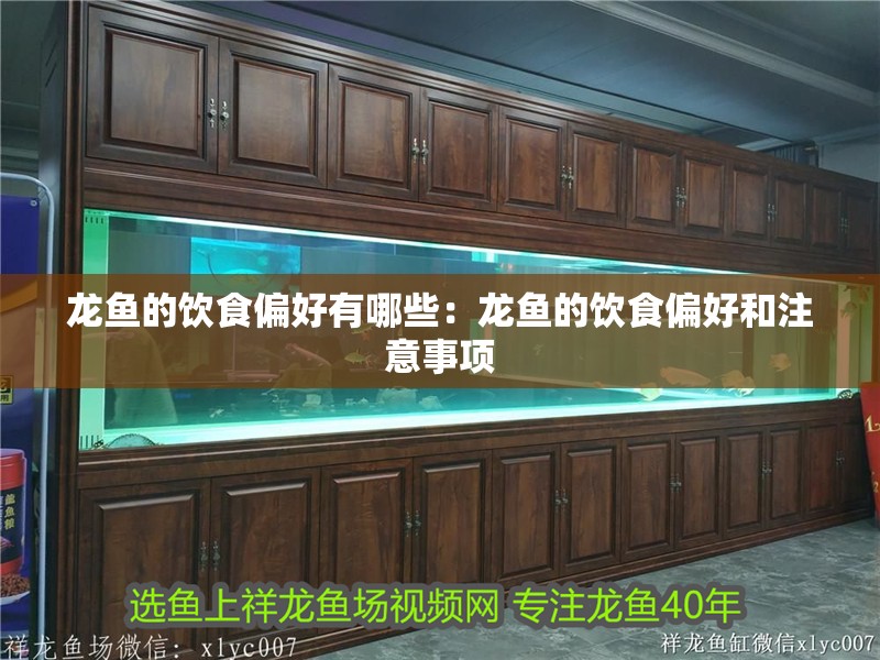 龍魚的飲食偏好有哪些：龍魚的飲食偏好和注意事項