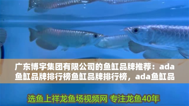 廣東博宇集團(tuán)有限公司的魚(yú)缸品牌推薦：ada魚(yú)缸品牌排行榜魚(yú)缸品牌排行榜，ada魚(yú)缸品牌排行榜