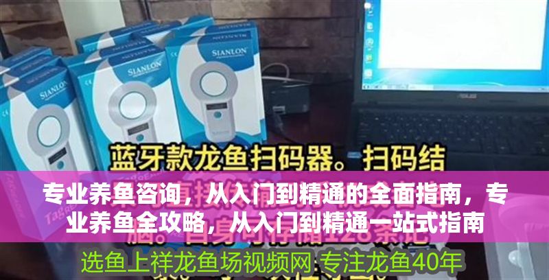 專業養魚咨詢，從入門到精通的全面指南，專業養魚全攻略，從入門到精通一站式指南