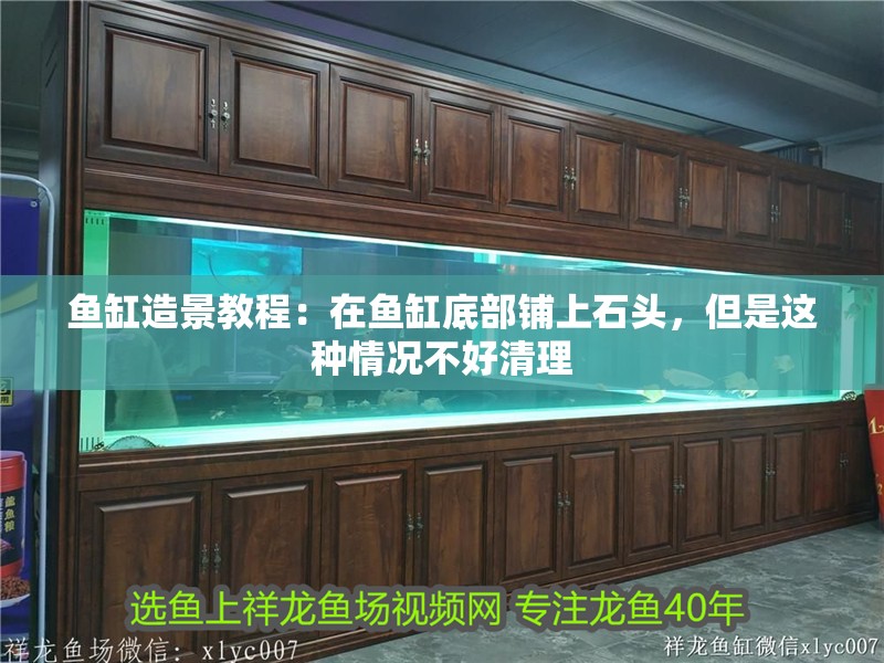 魚缸造景教程：在魚缸底部鋪上石頭，但是這種情況不好清理