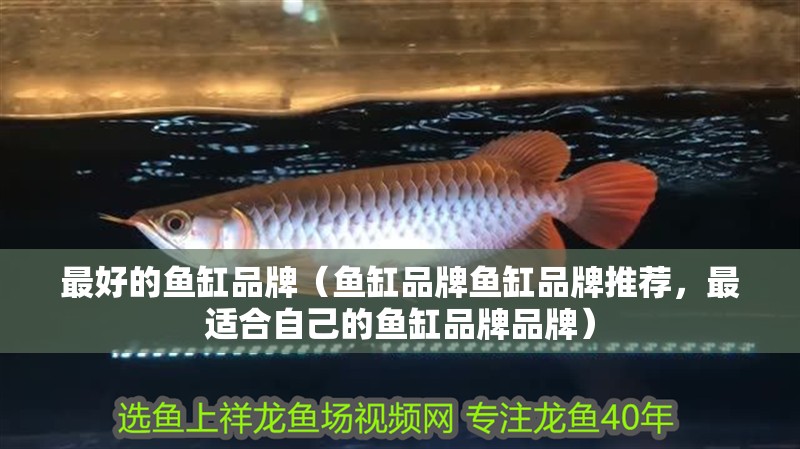 最好的魚缸品牌（魚缸品牌魚缸品牌推薦，最適合自己的魚缸品牌品牌）