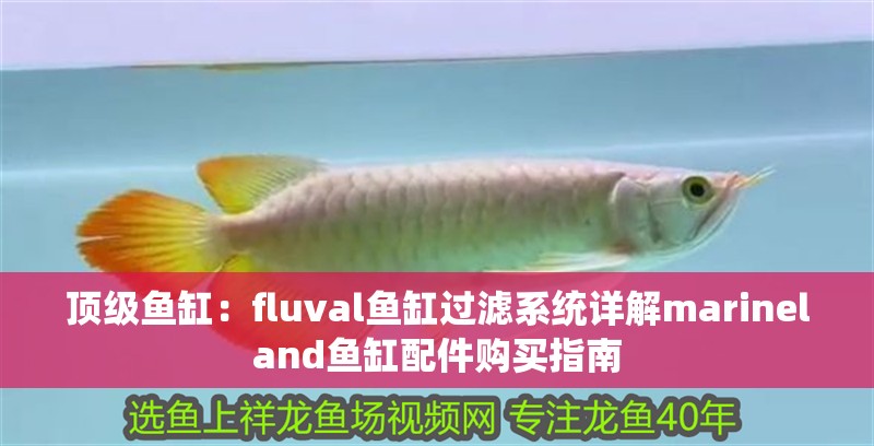 頂級魚缸：fluval魚缸過濾系統(tǒng)詳解marineland魚缸配件購買指南