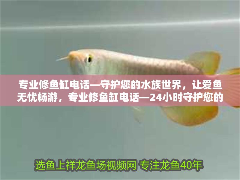 專業修魚缸電話—守護您的水族世界，讓愛魚無憂暢游，專業修魚缸電話—24小時守護您的水族世界，讓愛魚無憂暢游