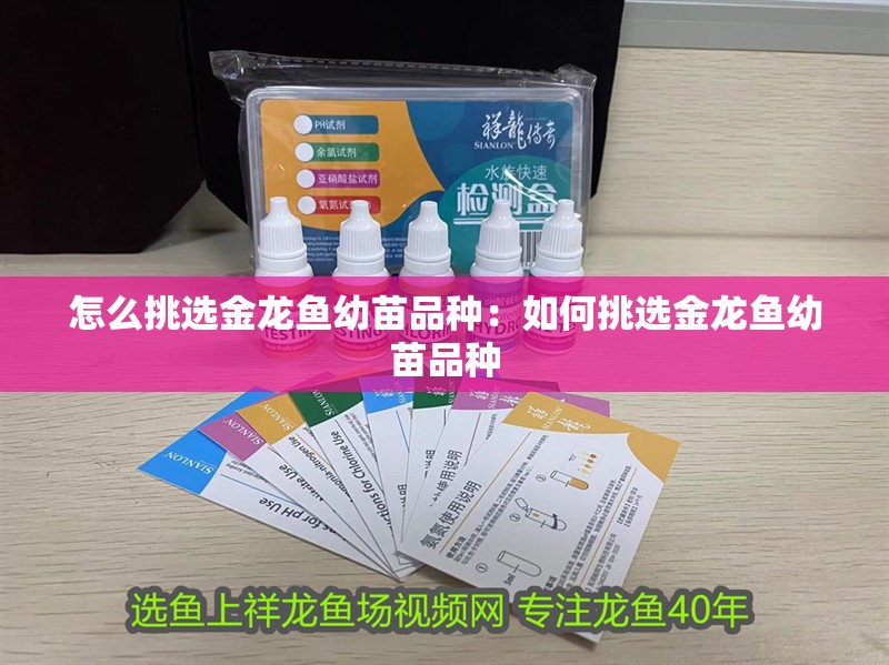 怎么挑選金龍魚幼苗品種：如何挑選金龍魚幼苗品種