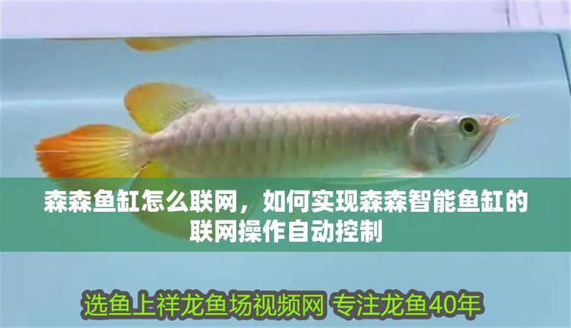 森森魚缸怎么聯(lián)網(wǎng)，如何實(shí)現(xiàn)森森智能魚缸的聯(lián)網(wǎng)操作自動(dòng)控制