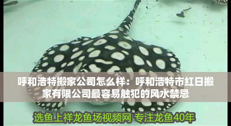 呼和浩特搬家公司怎么樣：呼和浩特市紅日搬家有限公司最容易觸犯的風(fēng)水禁忌