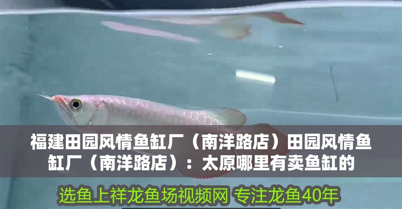 福建田園風情魚缸廠（南洋路店）田園風情魚缸廠（南洋路店）：太原哪里有賣魚缸的