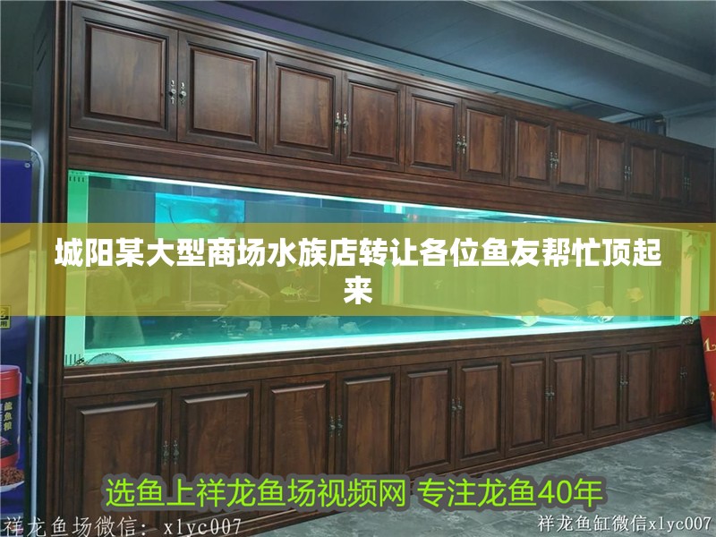 城陽某大型商場水族店轉(zhuǎn)讓各位魚友幫忙頂起來