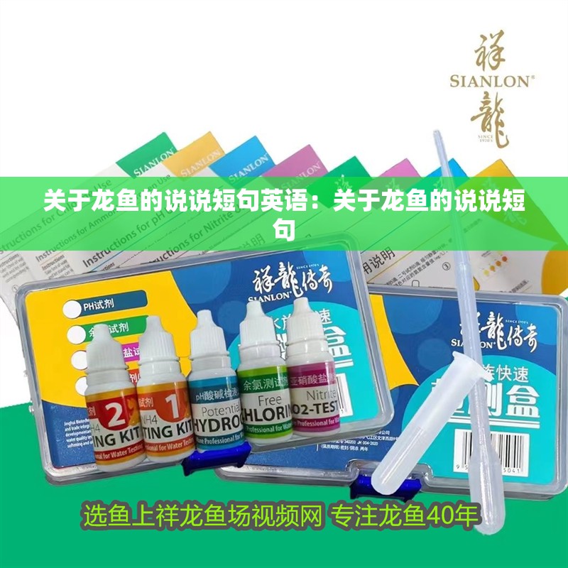 詳細(xì)閱讀:關(guān)于龍魚的說說短句英語:關(guān)于龍魚的說說短句 關(guān)于龍魚的說說短句英語:關(guān)于龍魚的說說短句