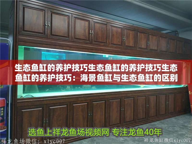 生態魚缸的養護技巧生態魚缸的養護技巧生態魚缸的養護技巧：海景魚缸與生態魚缸的區別