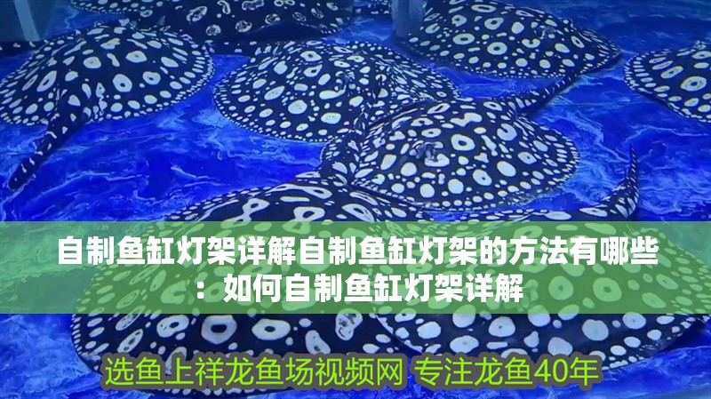自制魚缸燈架詳解自制魚缸燈架的方法有哪些：如何自制魚缸燈架詳解