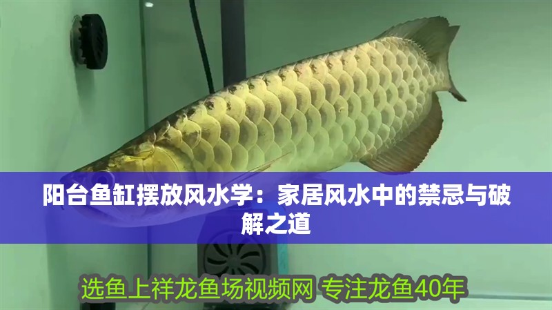 陽臺魚缸擺放風水學：家居風水中的禁忌與破解之道
