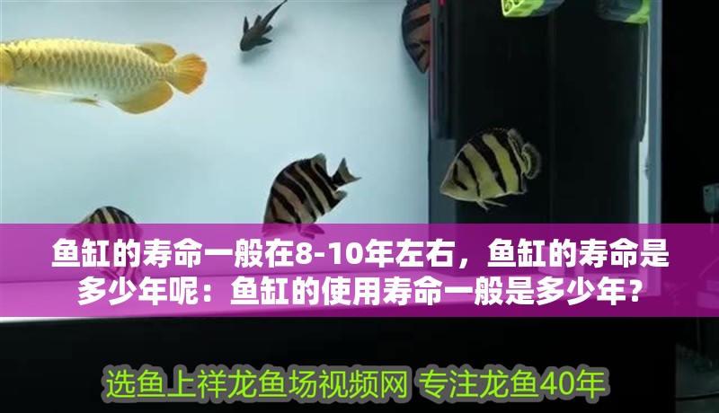 魚缸的壽命一般在8-10年左右，魚缸的壽命是多少年呢：魚缸的使用壽命一般是多少年？