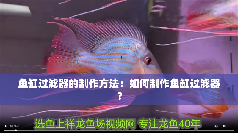 魚缸過濾器選購指南:自制魚缸過濾器魚缸上置過濾器對于養魚愛好者的必備知識 魚缸過濾器的制作方法:如何制作魚缸過濾器? 魚缸百科 魚缸過濾器的制作方法:如何制作魚缸過濾器? 魚缸過濾器的制作方法:如何制作魚缸過濾器? 魚缸百科