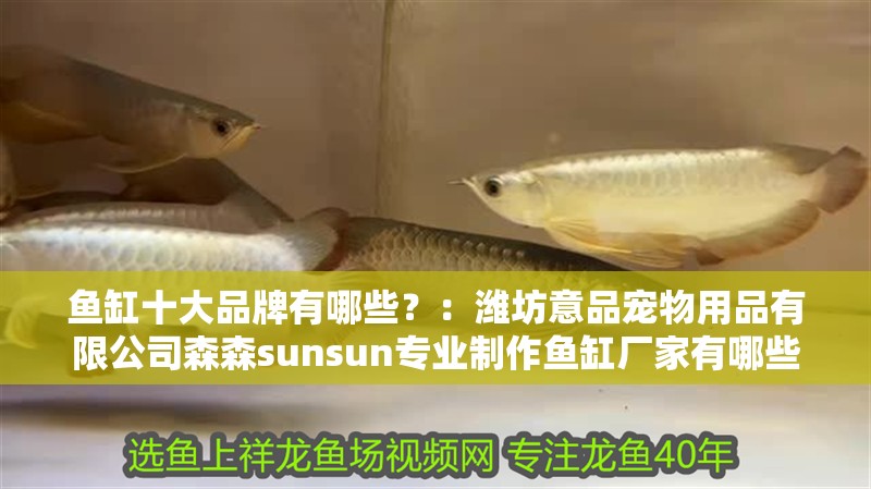 魚缸十大品牌有哪些？：濰坊意品寵物用品有限公司森森sunsun專業制作魚缸廠家有哪些