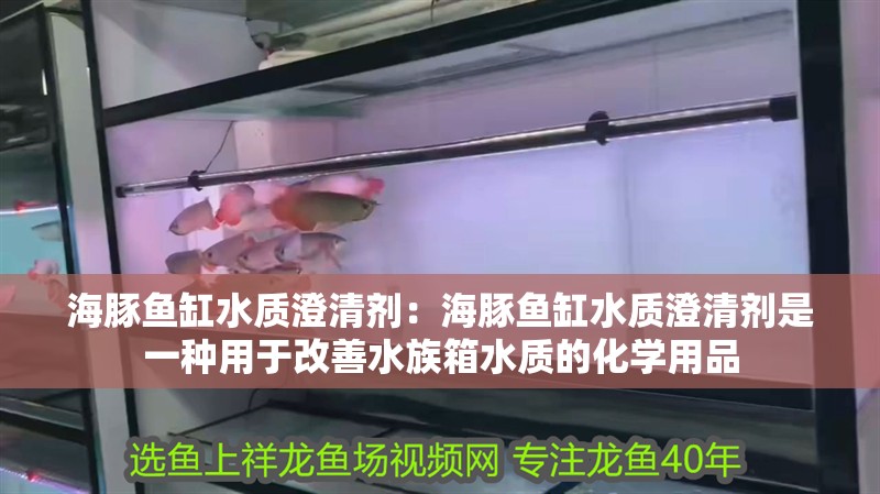 海豚魚缸水質澄清劑：海豚魚缸水質澄清劑是一種用于改善水族箱水質的化學用品