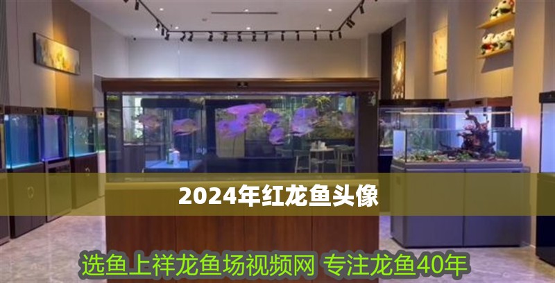 2024年紅龍魚頭像