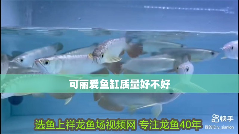 可麗愛魚缸質量好不好