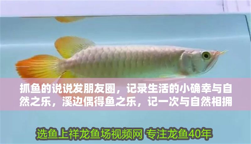 抓魚的說說發朋友圈，記錄生活的小確幸與自然之樂，溪邊偶得魚之樂，記一次與自然相擁的小確幸