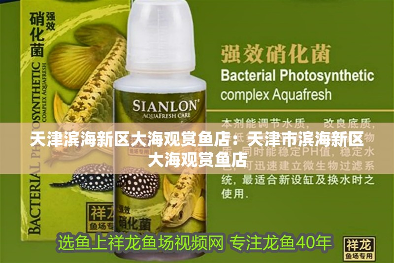天津?yàn)I海新區(qū)大海觀賞魚店：天<strong><mark>津市</mark></strong>濱海新區(qū)大海觀賞魚店