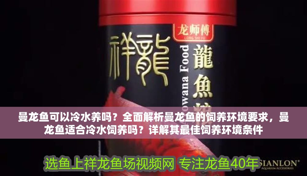 詳細閱讀:曼龍魚可以冷水養(yǎng)嗎?全面解析曼龍魚的飼養(yǎng)環(huán)境要求,曼龍魚適合冷水飼養(yǎng)嗎?詳解其最佳飼養(yǎng)環(huán)境條件 曼龍魚可以冷水養(yǎng)嗎?全面解析曼龍魚的飼養(yǎng)環(huán)境要求,曼龍魚適合冷水飼養(yǎng)嗎?詳解其最佳飼養(yǎng)環(huán)境條件